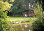 Goose Wood Lodges in North East England
