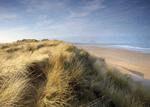 St Cyrus Park in East Scotland